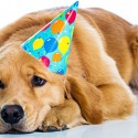 Good news for Google Calendar birthday haters?